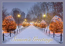 Holidays in the Public Garden Holiday Cards