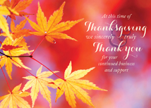 Vivid Colors Business Thanksgiving Card