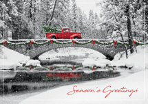 Homeward Bound Holiday Cards