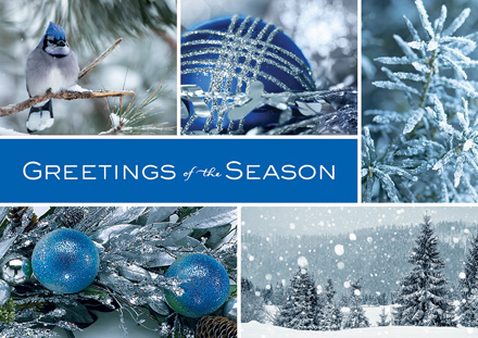 Icy Blue Wonder Holiday Cards