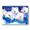 Jolly Bears Holiday Cards