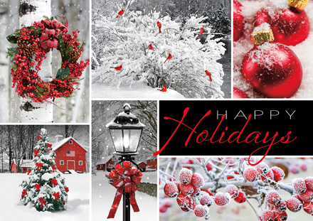 Seasonal Showcase Holiday Cards